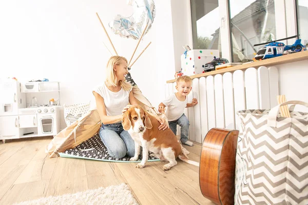 Petit garçon jouant avec maman et chien . — Photo