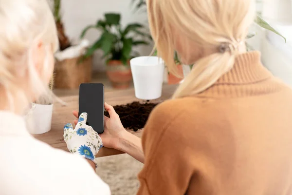 Nahaufnahme Von Händen Von Damen Mit Mobiltelefonen Beim Anbau Von — Stockfoto