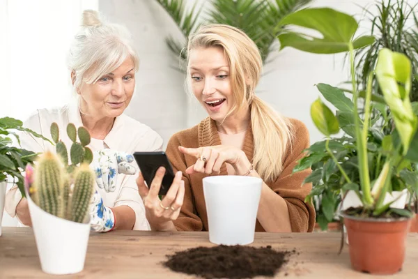 Großmutter Mit Enkelin Verbringt Zeit Hause Und Kultiviert Zimmerpflanzen — Stockfoto