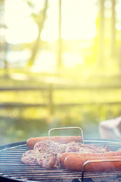 烤肉烤架上美味肉的近照 夏天的户外晚餐 大自然中的野餐时间 — 图库照片