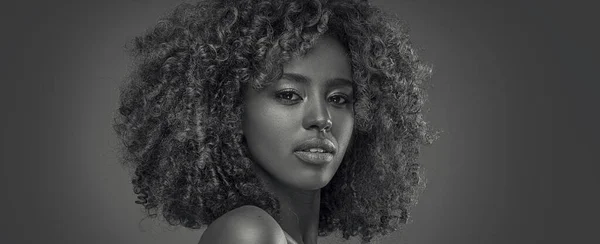 Schoonheidsportret Van Vrouw Met Afro Poseren Studio — Stockfoto