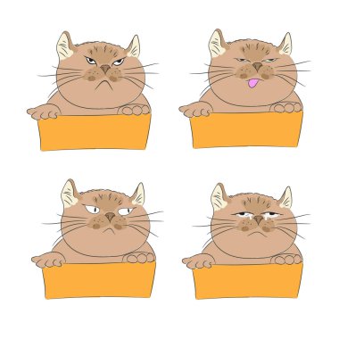 Duygu ile şirin kedi tasarımını.