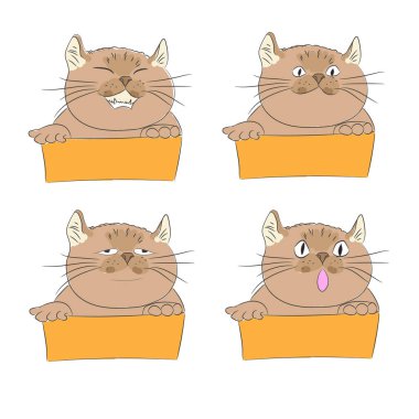 Duygu ile şirin kedi tasarımını.