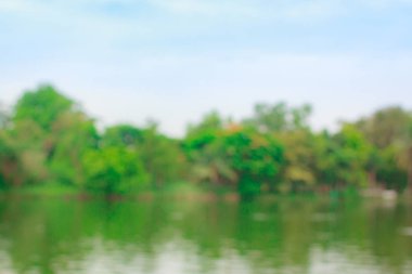 Bulanık doğal ve aydınlık arka plan parkta.