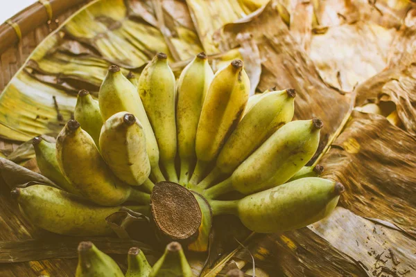 바나나의 Pisang Awak 바나나 — 스톡 사진