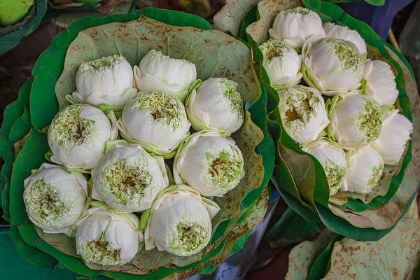 Vacker näckros eller tropisk lotusblomma, grupp bukett Wra — Stockfoto