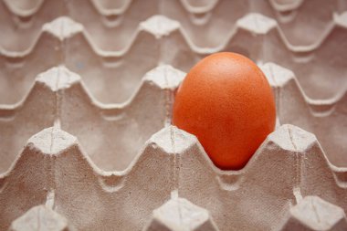 Yumurta kutusunda çiğ tavuk yumurtası..