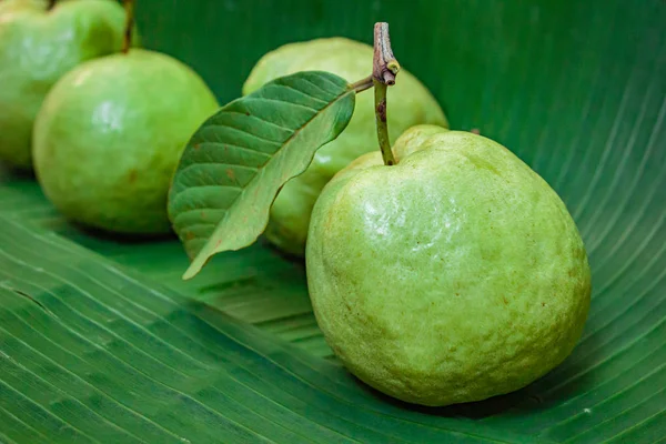 Fruto de goiaba fresco . — Fotografia de Stock