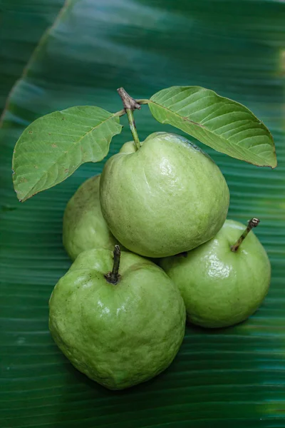 Frutta fresca di guava . — Foto Stock