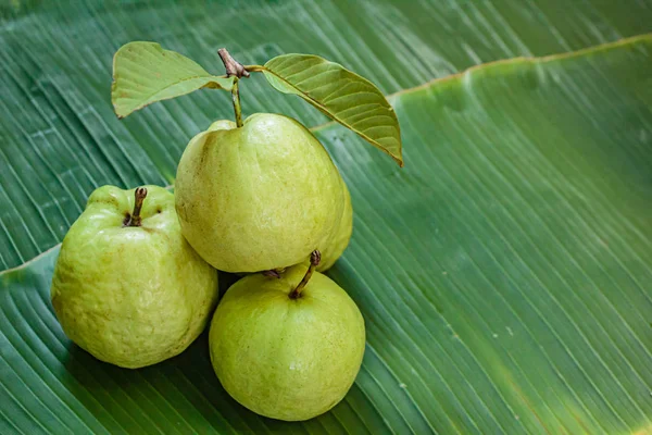 Färsk guava frukt. — Stockfoto