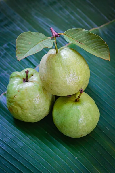 Fruto de goiaba fresco . — Fotografia de Stock