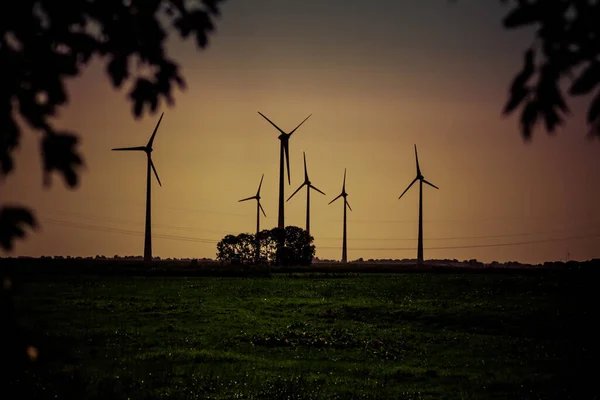 Wind Turbines Green Meadow Sunset Green Energy — Stock Photo, Image