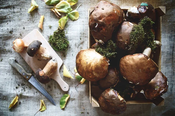 Healthy Wild Forest Mushrooms Table — Stock Photo, Image