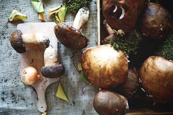 Healthy Wild Forest Mushrooms Table — Stock Photo, Image