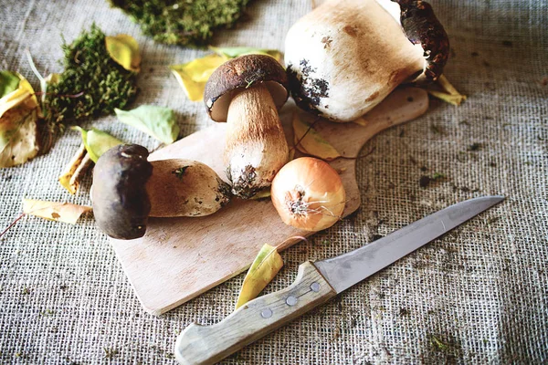 Healthy Wild Forest Mushrooms Table — Stock Photo, Image