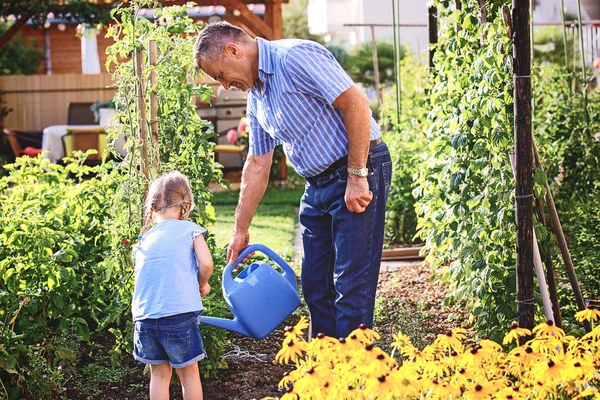 Família Está Regando Jardim Pela Manhã — Fotografia de Stock