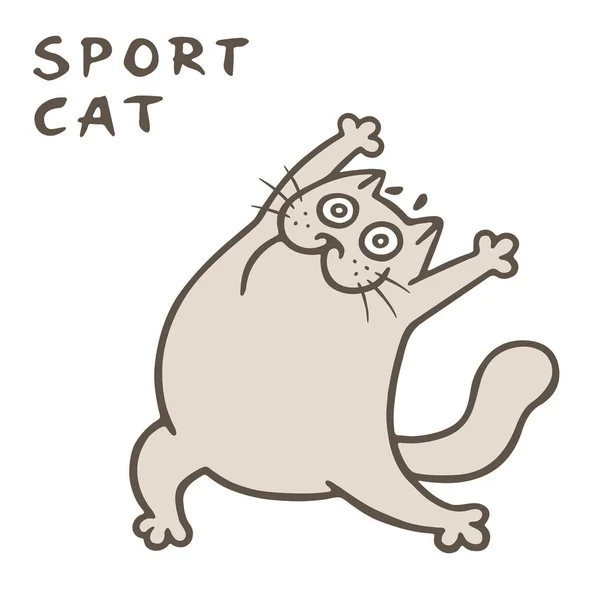 귀여운 두꺼운 고양이와 스포츠입니다 한다입니다 일러스트 — 스톡 벡터