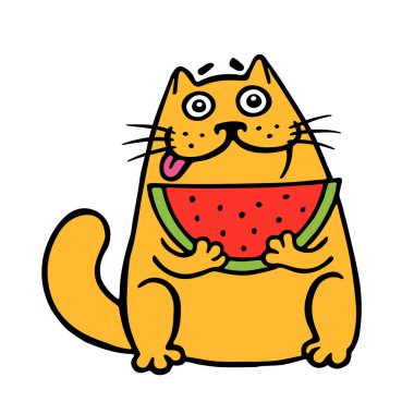 Sevimli şişman kedi karpuz yiyor. kedi. Komik karikatür serin karakter. 