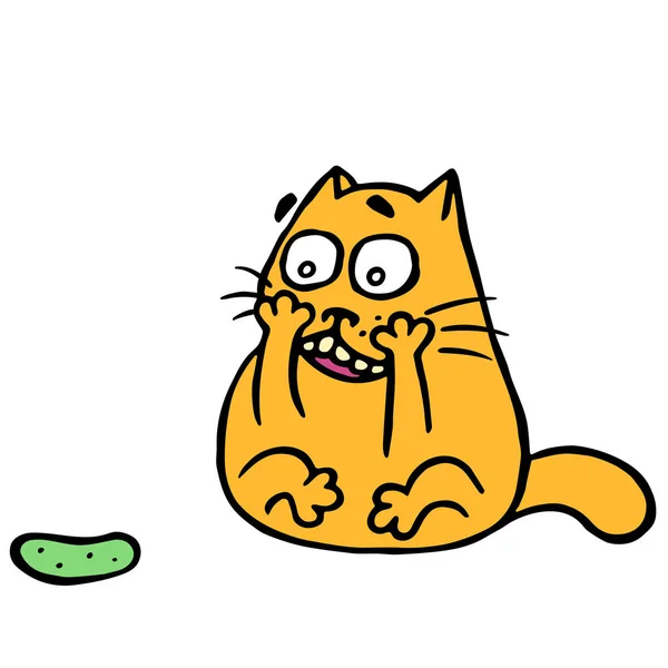 可爱的猫转身 吓坏了可怕的黄瓜 — 图库照片