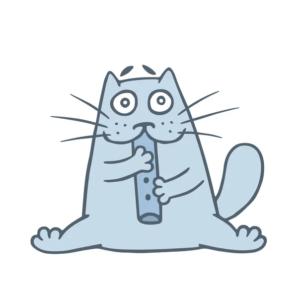 Güzel Kedi Boru Oynayan Bir Müzisyendir Komik Karikatür Hayvan Karakter — Stok fotoğraf