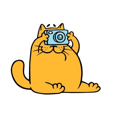 Karikatür turuncu kedi kamera ile fotoğraf çekmek. Evde beslenen hayvan fotoğrafçı karakter.