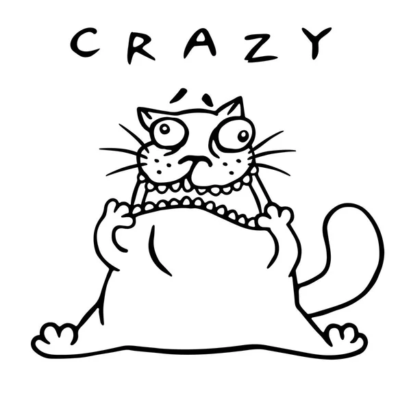 Śmieszne Kot Szalony Tłuszczu Wyciągnął Jego Usta Sprawił Wszyscy Śmiać — Zdjęcie stockowe