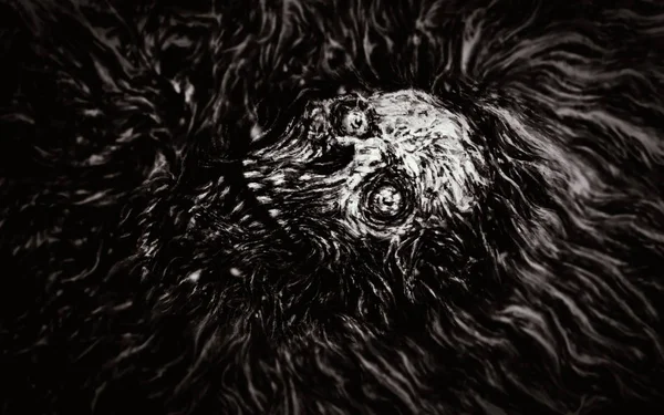 Zombiekopf Wasser Schwarz Weiße Farbe Horror Genre — Stockfoto
