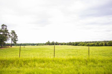 Bulutlu arkaplanı olan yeşil alanlar ve çitler