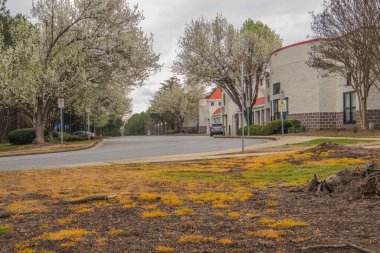 Stone Dağı, Ga / USA - 03: 13 20: Shiloh İlköğretim Okulu giriş açısı