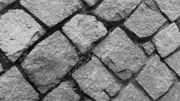 Textura Superficie Piedra Fondo Blanco Negro Izquierda Derecha — Vídeos de Stock