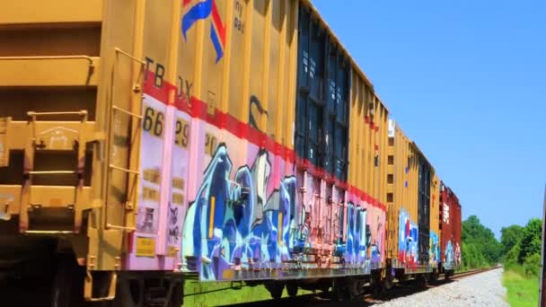 Ende Eines Vorbeifahrenden Zuges Mit Graffiti — Stockvideo