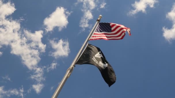 Flaga Amerykańska Flaga Pow Pływają Ramię Ramię — Wideo stockowe
