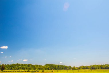 Yeşil alanlar ve mavi gökyüzü manzarası 
