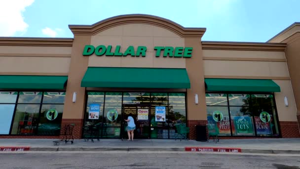 Loganville Lady Arcmaszkot Viselő Bevásárlókocsival Hagyja Dollar Tree — Stock videók