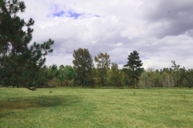 Bulutlu ve mavi gökyüzü olan kır manzarası