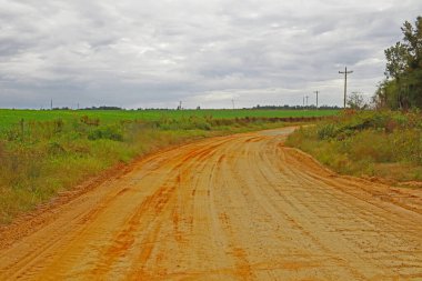 Kırsal kesimde bulutlu bir günde tarım arazisi üzerindeki toprak yol manzarası 