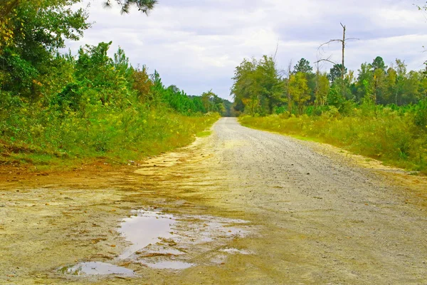 Vista Uma Estrada Terra Vazia País Depois Banho Chuva — Fotografia de Stock