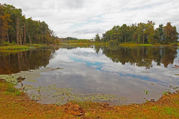 Reflexão Das Nuvens Uma Pequena Lagoa País — Fotografia de Stock