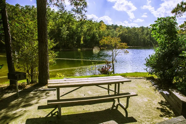 Piknik Alanından Göl Manzarası — Stok fotoğraf