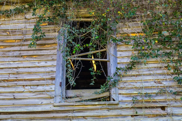 Appling Usa 古い放棄された建物のバックコーナービュー Bucked Out Wood Overgrown Window — ストック写真