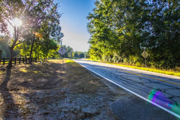 Tomma Gatan Med Solen Skiner Genom Träden — Stockfoto