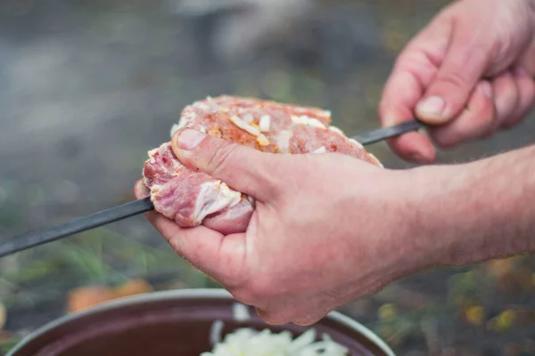 stock image cooking juicy pork skewers in nature