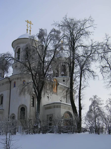 Kirche Und Bäume Winter — Stockfoto