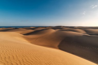 Sahilin arka planında günbatımında Maspalomas (Gran Canaria) kumullarının görüntüsü. seyahat fotoğrafçılığı. manzara