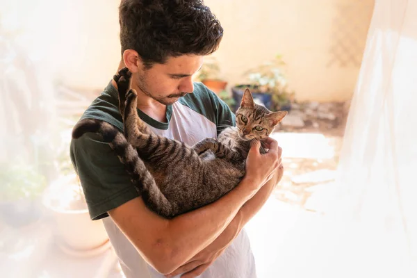 Junger Mann Hält Eine Grau Gestromte Katze Arm Und Schaut — Stockfoto