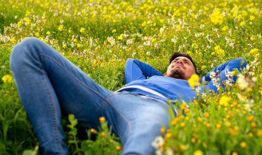 Genç adam sarı çiçeklerle dolu bir tarlada yatıyor. Doğanın tadını.
