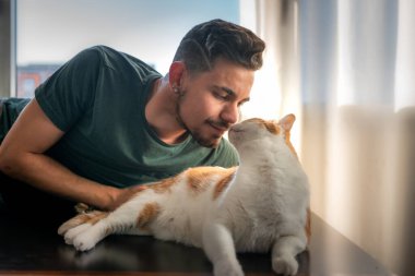 Beyaz ve kahverengi kedi, yanında, pencerenin altında yatan genç bir adamın kokusunu almak için geri döner.
