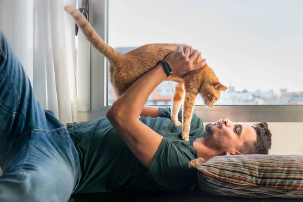 Чому коти люблять сидіти на своїх господарях: пухнасті секрети