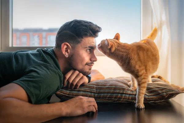 Tabby Katze Schnüffelt Einem Jungen Mann Vor Dem Fenster Der — Stockfoto