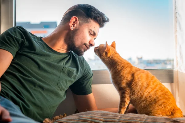 Tabby Katze Bringt Seine Schnauze Auf Die Nase Eines Jungen — Stockfoto